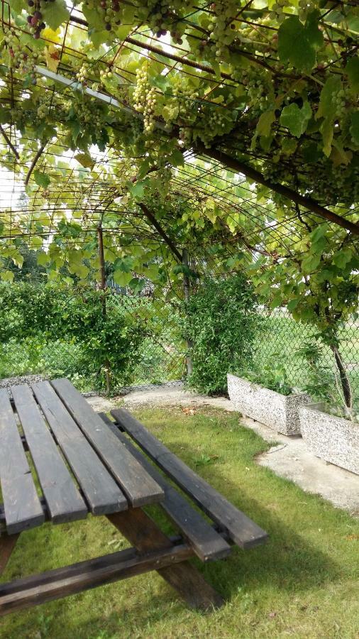 Casa Vacanze Riviera Del Brenta دولو المظهر الخارجي الصورة